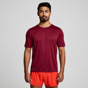 Camiseta Saucony Stopwatch Curta Sleeve Masculino Vermelhas | Portugal S02143-L46