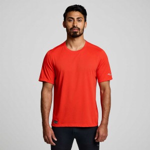 Camiseta Saucony Stopwatch Curta Sleeve Masculino Vermelhas | Portugal S51963-W16