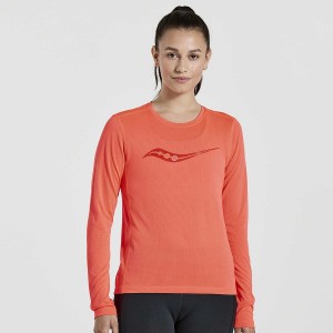 Camiseta Saucony Stopwatch Gráficas Long Sleeve Feminino Vermelhas | Portugal S59043-F42