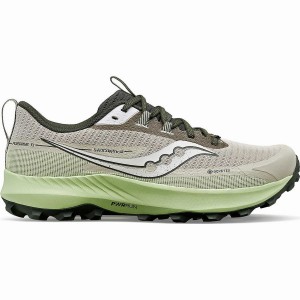 Sapatilhas Corrida Saucony Peregrine 13 GTX Masculino Dust / Umbra | Portugal S15782-B97