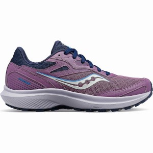 Sapatilhas Trail Running Saucony Cohesion TR16 Feminino Roxo Azul Marinho | Portugal S12035-X10