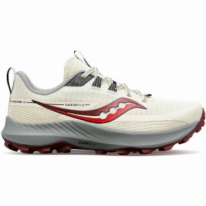 Sapatilhas Trail Running Saucony Peregrine 13 Feminino Bege | Portugal S46178-Y02