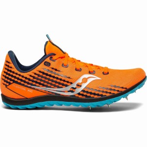 Spikes Atletismo Saucony Havok XC 3 Spike Feminino Azuis | Portugal S29316-V35