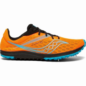 Spikes Atletismo Saucony Kilkenny XC9 Spike Feminino Azuis | Portugal S90521-F75