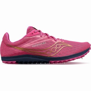 Spikes Atletismo Saucony Kilkenny XC9 Spike Masculino Rosa Azul Marinho | Portugal S39287-M84