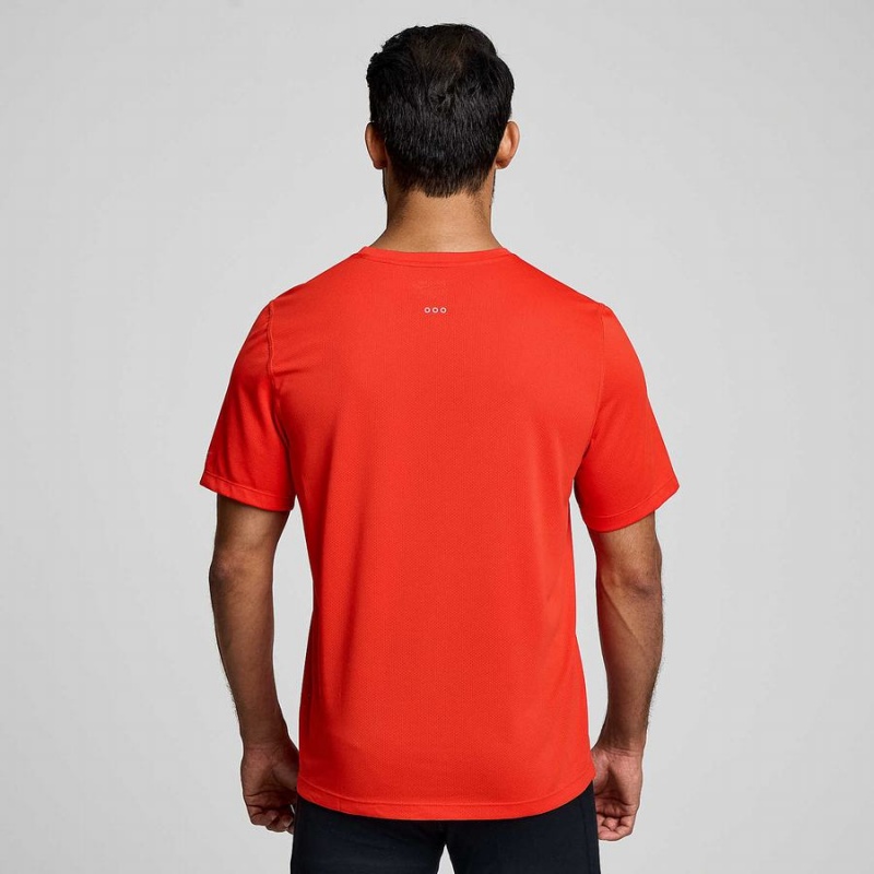 Camiseta Saucony Stopwatch Curta Sleeve Masculino Vermelhas | Portugal S51963-W16