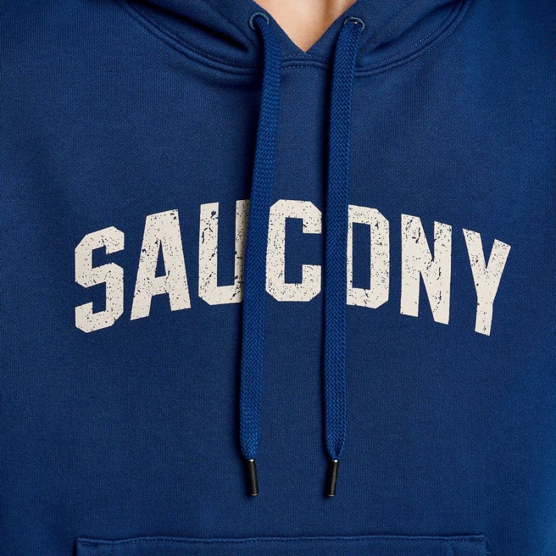 Moletom com Capuz Saucony Recovery Hoody Feminino Azul Anil | Portugal S43096-A41