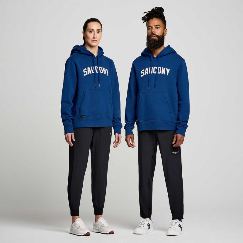 Moletom com Capuz Saucony Recovery Hoody Feminino Azul Anil | Portugal S43096-A41