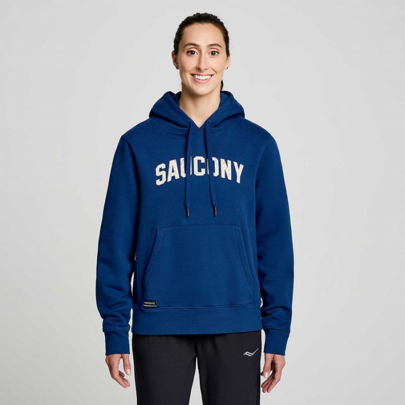 Moletom com Capuz Saucony Recovery Hoody Masculino Azul Anil | Portugal S35872-S54