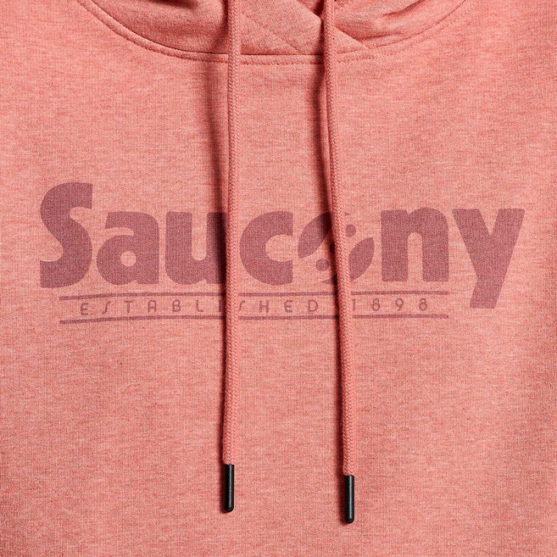 Moletom com Capuz Saucony Rested Feminino Soot Heather Graphic | Portugal S80425-R41