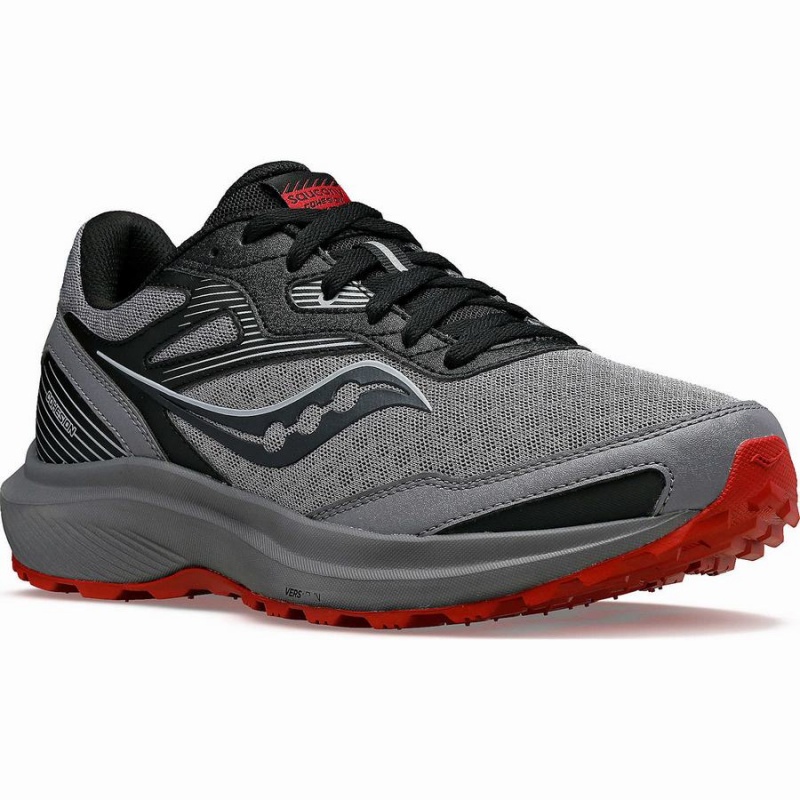 Sapatilhas Caminhada Saucony Cohesion TR16 Masculino Cinzentas Bordeaux | Portugal S58923-R96