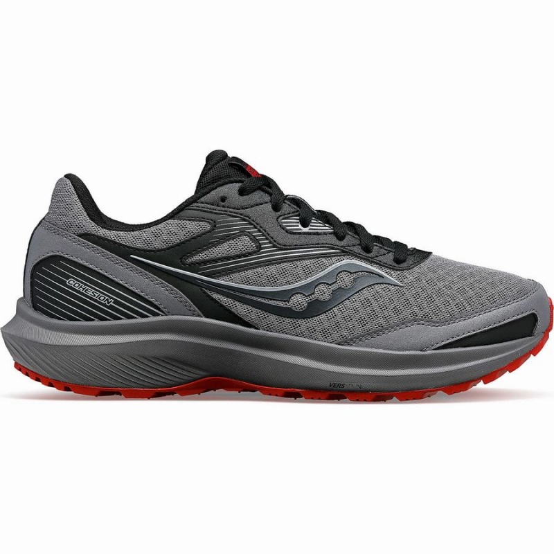 Sapatilhas Caminhada Saucony Cohesion TR16 Masculino Cinzentas Bordeaux | Portugal S58923-R96