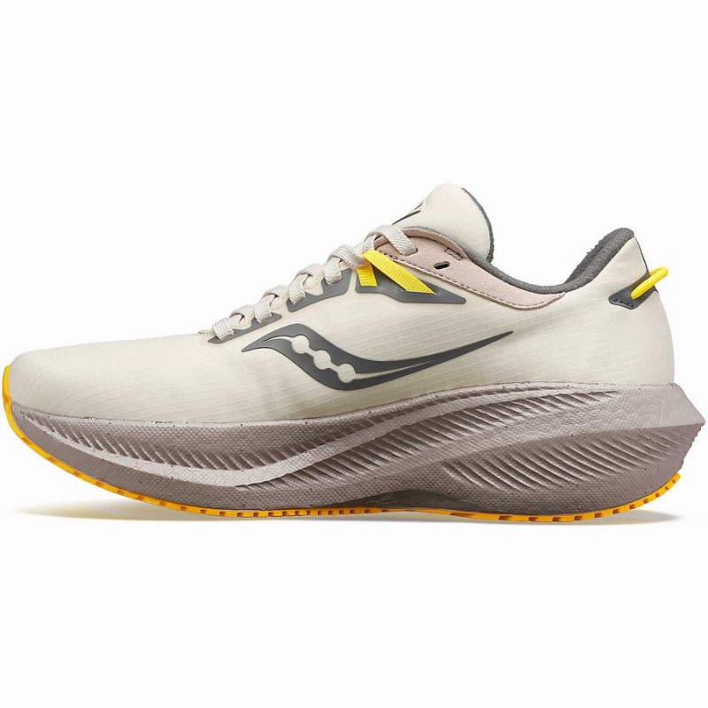 Sapatilhas Caminhada Saucony Triumph 21 RUNSHIELD Feminino Bege | Portugal S70284-B91