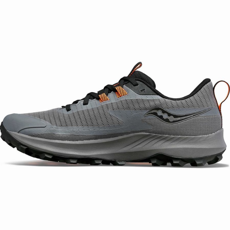 Sapatilhas Corrida Saucony Peregrine 13 GTX Masculino Cinzentas Pretas | Portugal S41720-V90