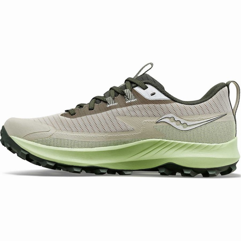 Sapatilhas Corrida Saucony Peregrine 13 GTX Masculino Dust / Umbra | Portugal S15782-B97