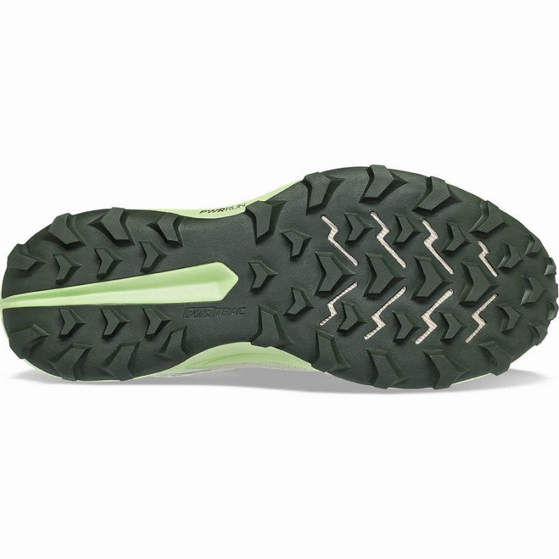 Sapatilhas Corrida Saucony Peregrine 13 GTX Masculino Dust / Umbra | Portugal S15782-B97