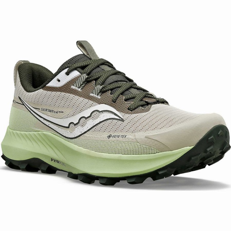 Sapatilhas Corrida Saucony Peregrine 13 GTX Masculino Dust / Umbra | Portugal S15782-B97