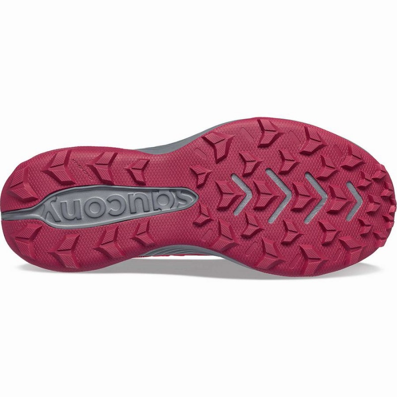 Sapatilhas Trail Running Saucony Blaze TR Feminino Rosa Marrom | Portugal S25801-M75