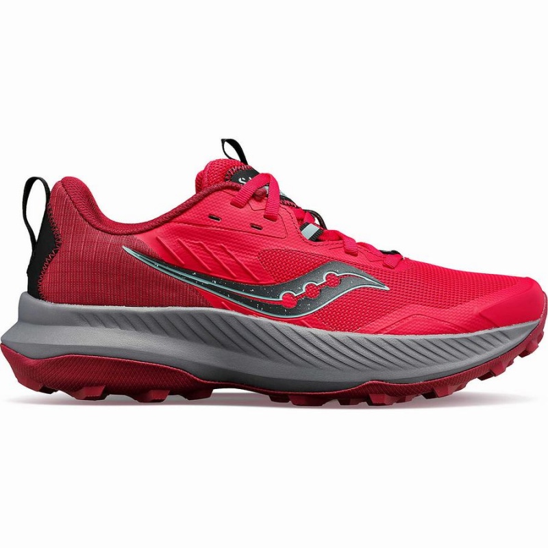 Sapatilhas Trail Running Saucony Blaze TR Feminino Rosa Marrom | Portugal S25801-M75