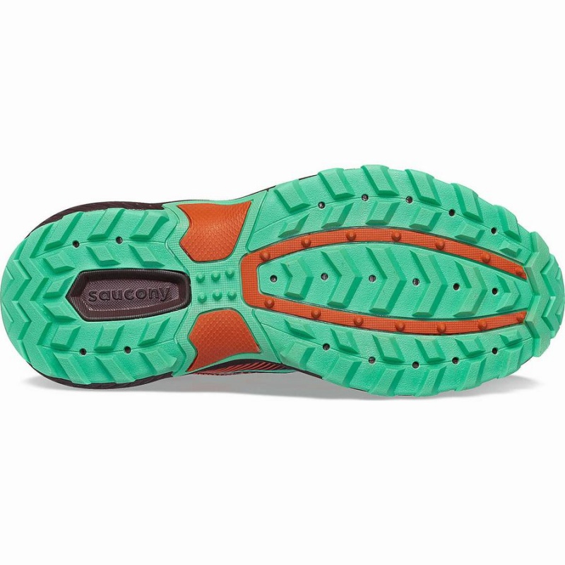 Sapatilhas Trail Running Saucony Excursion TR16 Feminino Menta | Portugal S15978-Z45