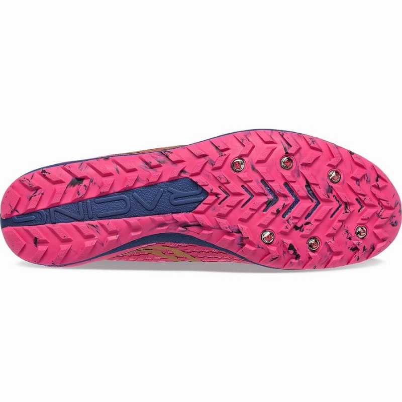 Spikes Atletismo Saucony Havok XC 3 Spike Feminino Rosa Azul Marinho | Portugal S53678-X35